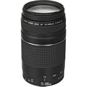 Canon EF 75-300mm zoom lens for DSLR cameras, available at Camix UK.