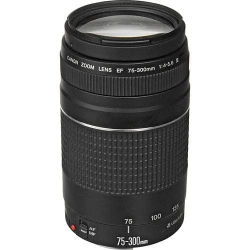 Canon EF 75-300mm zoom lens for DSLR cameras, available at Camix UK.