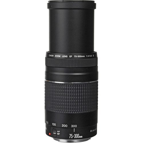 Canon EF 75-300mm f/4-5.6 III Telephoto Zoom