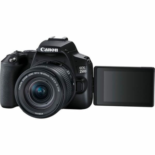 Canon EOS 250D With 18-55mm IS STM Lens
