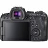 Canon EOS R6 Body + EOS R Mount Adapter