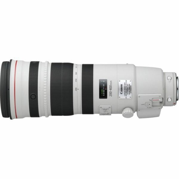 Canon EF 200-400mm f4 L IS USM with 1.4x Extender