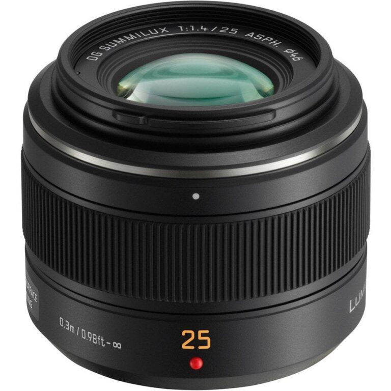 Panasonic Lumix 25mm f/1.4 lens for Micro Four Thirds cameras.
