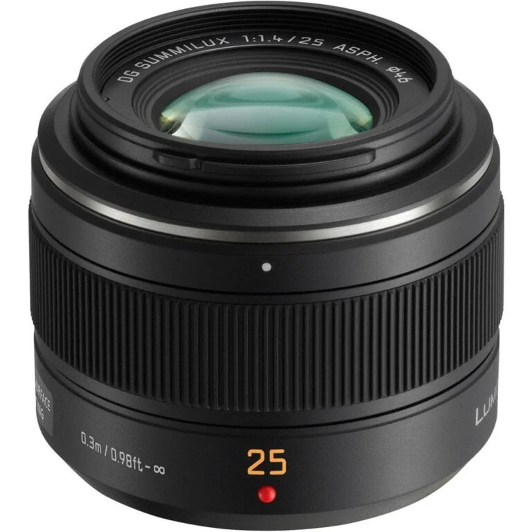 Panasonic Lumix 25mm f/1.4 lens for Micro Four Thirds cameras.