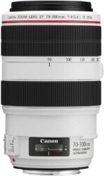 Canon EF 70-300mm f4-5.6L IS USM