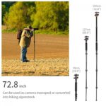 Photographer using a camera monopod in a field, showcasing adjustable height options.