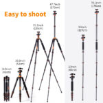 K&F Concept Carbon Fibre Monopod/Tripod with 360-Degree Ball Head 1.7m ,Quick Release Plate, Detachable 10KG - Image 5