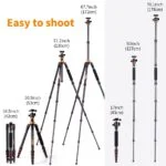 K&F Concept camera tripods in various heights for photography equipment.