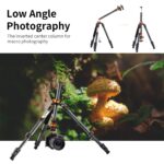 Low angle photography tripod with inverted center column for macro shots.