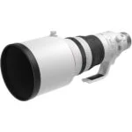 Professional telephoto camera lens for wildlife photography