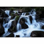Olympus OM-5 Body Black - Image 12