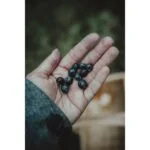 Hand holding small dark berries outdoors.