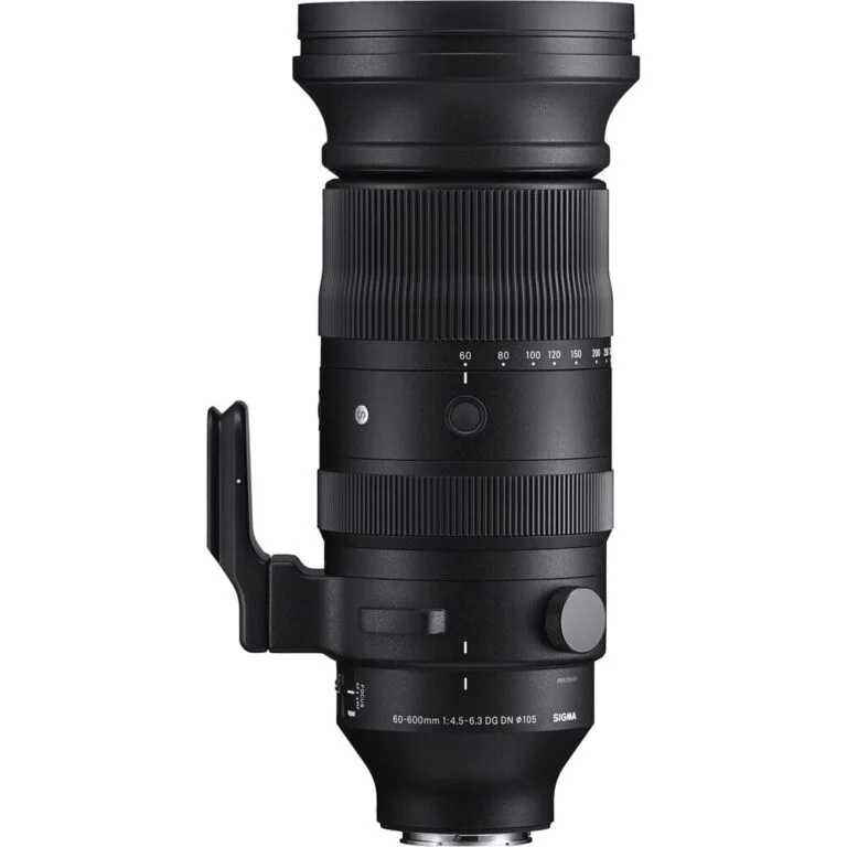 Sigma 60-600mm telephoto zoom lens for professional photography.