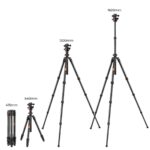 K&F Concept camera tripods in various heights for photography equipment.