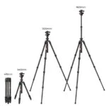K&F Concept camera tripods in various heights for photography equipment.