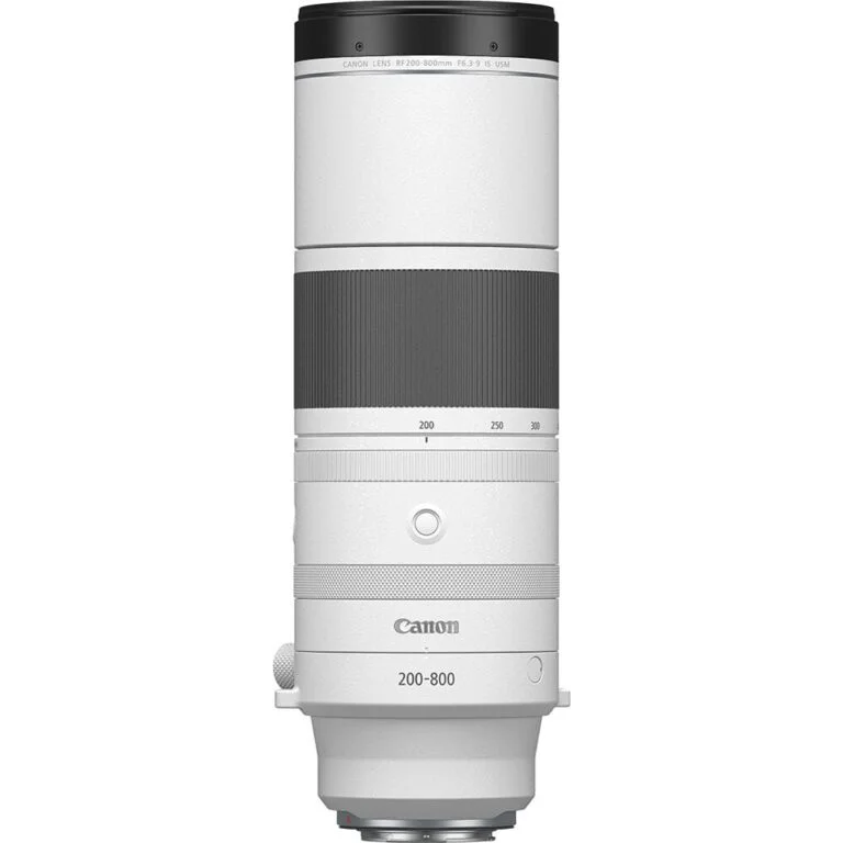 Canon RF 200-800mm telephoto zoom lens for professional photography.