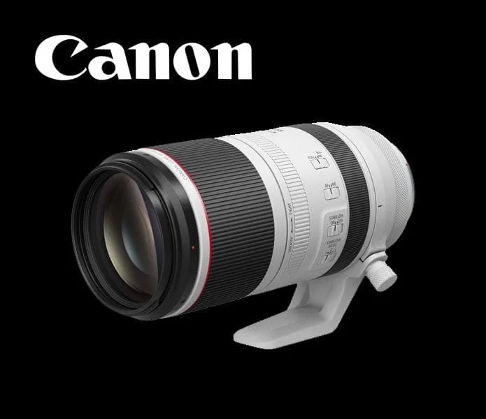 Canon RF 100-500mm telephoto zoom lens for professional photography.