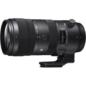 Sigma 70-200mm f/2.8 DG OS HSM Sports lens for professional photography.