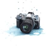 Olympus ED 20mm F1.4 PRO - Image 10
