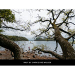 Scenic view of a lake surrounded by trees, captured with professional camera gear.