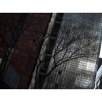 Sigma 30mm F1.4 DC DN Contemporary For Fuji X - Image 5