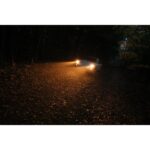 Car driving on a dimly lit forest road at night with headlights on.