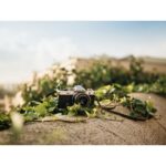Mirrorless camera on a stone surface surrounded by green vines, under a clear sky.
