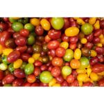 Assorted colorful cherry tomatoes in a basket.