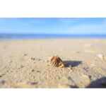 Canon RF 16mm f2.8 STM Lens - Image 13