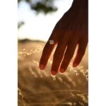Hand gently touching tall grass in a sunlit field.