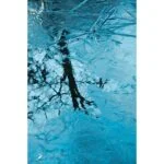 Abstract icy surface with tree reflection, resembling cracked glass.