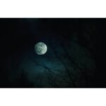 Full moon in a dark night sky with silhouetted branches, ideal for testing camera low-light performance.
