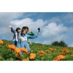 Canon PowerShot V1 - Image 9