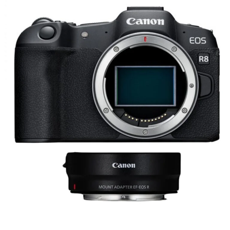 Canon EOS R8 camera body with lens adapter, ideal for professional photography.