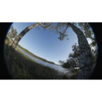 Fisheye lens view of a scenic landscape with trees and a lake.
